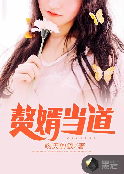 赘婿当道全集完整版免费观看