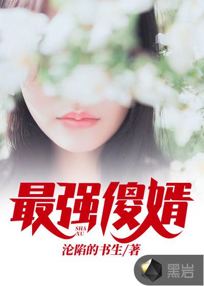 最强傻婿TXT