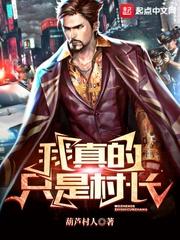 我真的只是村长TXT