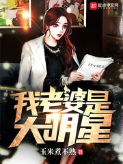 我老婆是大明星讲的是什么故事