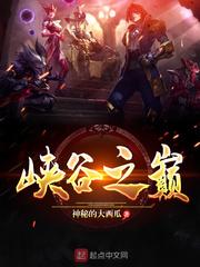 峡谷之巅第一名一天多少钱