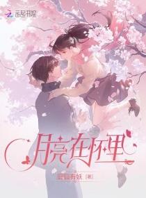 月亮在心上歌词