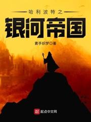 哈利波特之穿越者