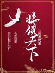 倾世将妃