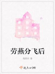 劳燕分飞歌曲