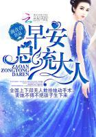 总统大人全书免费阅读