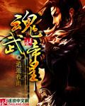魂武帝神免费阅读