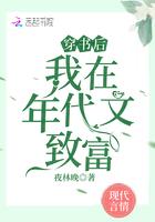 我在年代文致富txt