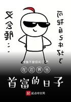 在忍界当富豪的日子