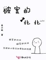破案的案