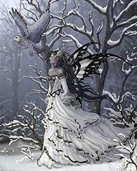 韩雪沈寒秋