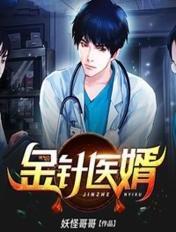 金针医婿TXT