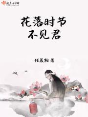 花落时节不见君讲的什么