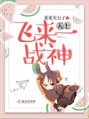 天上飞来的是什么