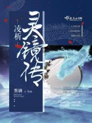 灵镜传奇解析