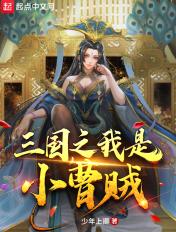 三国之我是小曹贼TXT