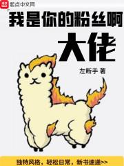 我是你的粉丝吗