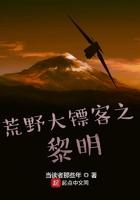 荒野大镖客之黎明全本阅读