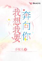 我要奔向远方是什么歌