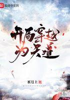 开局穿越获得悍匪系统的