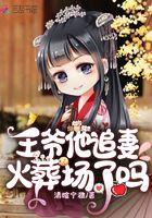 王爷追妻甜文