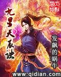九星天辰诀叶辰的身份