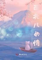 西北情歌