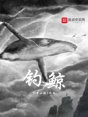 钓鲸鱼的钩子