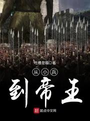 从小兵开始称霸天下的