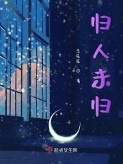 未归人什么意思