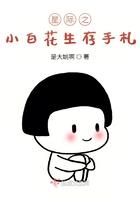 星际小白打不开