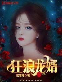 狂浪龙婿王一