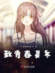 致青春16集