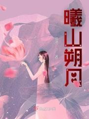 曦澄朔月车